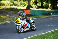cadwell-park;cadwell-park-photographs;cadwell-trackday-photographs;enduro-digital-images;event-digital-images;eventdigitalimages;peter-wileman-photography;racing-digital-images;trackday-digital-images;trackday-photos